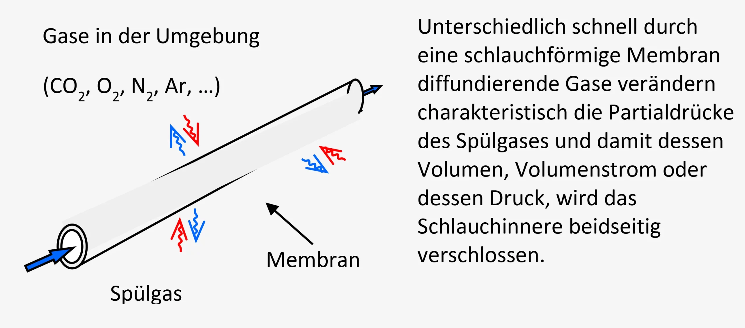 Membran-Tech-Schluesseltechnologie